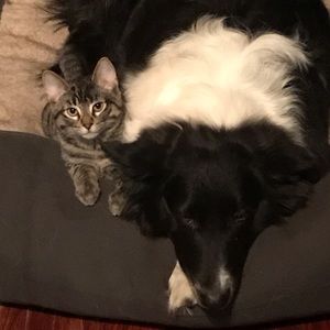 Meet your Posher, Anne